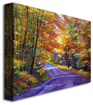 'New England Road' Canvas Art by David Lloyd Glover