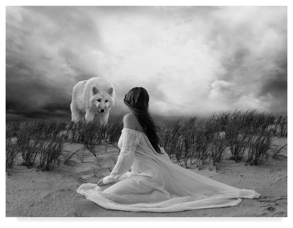 "White Wolf" by Ata Alishahi, Canvas Art, 19"x14"
