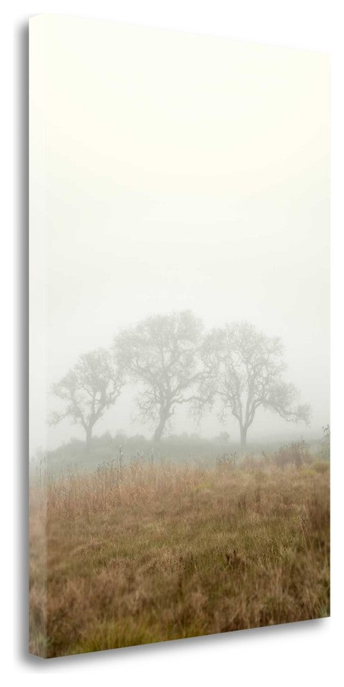 "Oak Tree - 17" By Alan Blaustein, Giclee Print on Gallery Wrap Canvas