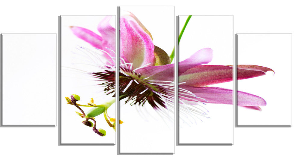 Passiflora Flower over White, Large Abstract Canvas Wall Art, 60"x32", 5 Panels