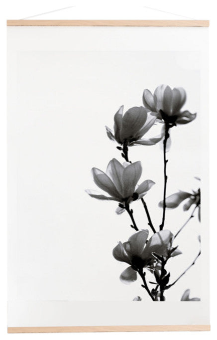 Monika Strigel Black Magnolia Art Print and Hanger