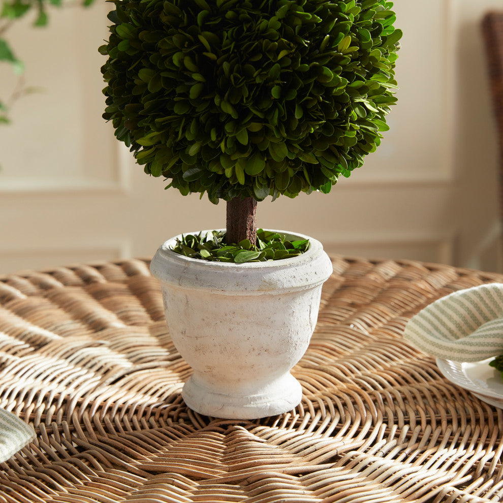 Boxwood Single 9" Diameter Ball Topiary In Pot