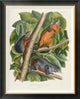 "Red-Bellied Squirrel" Framed Canvas Giclee by John James Audubon, 29x36"