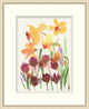 Summer Blooms 2, Giclee Reproduction Artwork
