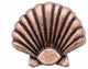 Seashell Cabinet Knob, Large, Antique Copper