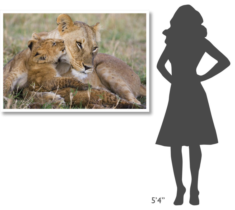 "Lion mother and young cubs, Masai Mara National Reserve" Paper Art, 50"x34"
