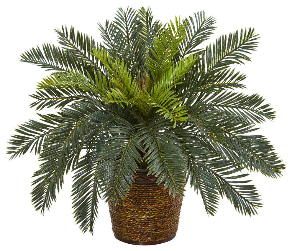 15" Cycas Artificial Plant, Basket
