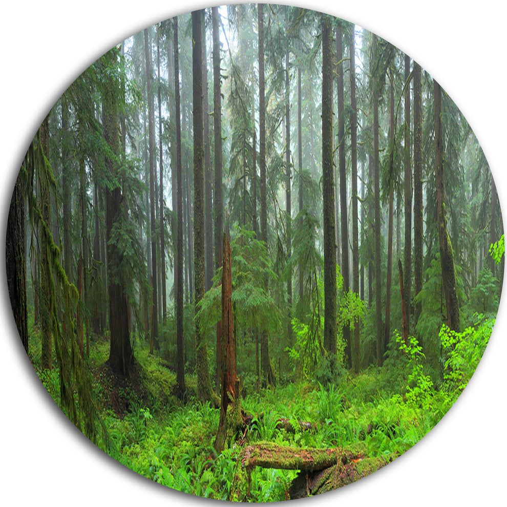 Hoh Rain Forest, Landscape Photography Round Wall Art, 11"