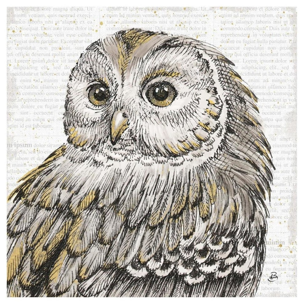"Beautiful Owls I" Digital Paper Print by Daphne Brissonnet, 20"x20"