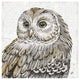 "Beautiful Owls I" Digital Paper Print by Daphne Brissonnet, 20"x20"