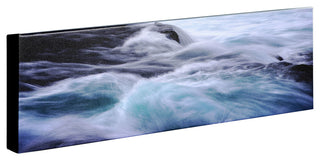 'Allegro' Canvas Art by Philippe Sainte-Laudy