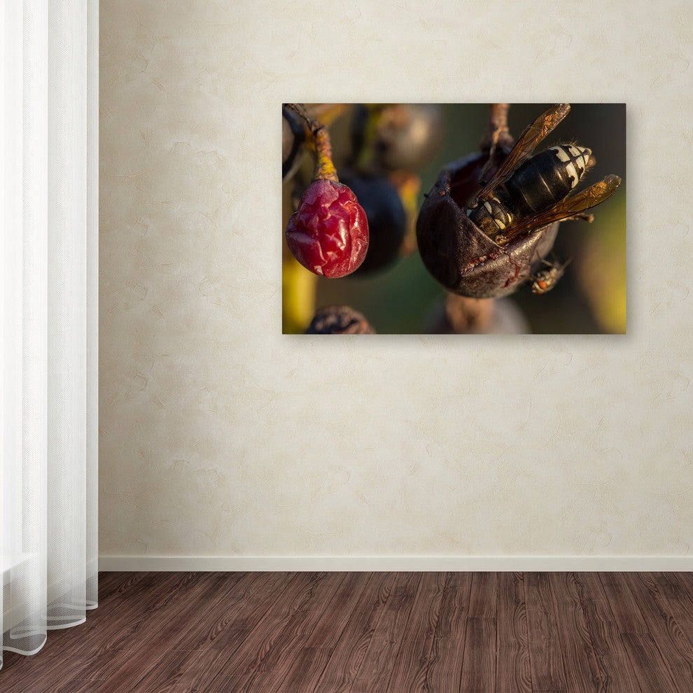 Jason Shaffer 'Hornets' Canvas Art, 32x22