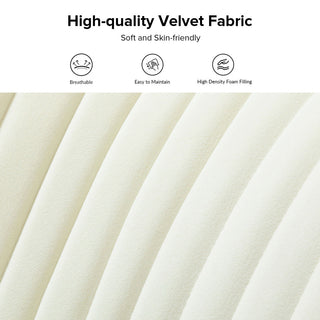 Velvet Tufted Loveseat Sofa With Golden Base, Ivory