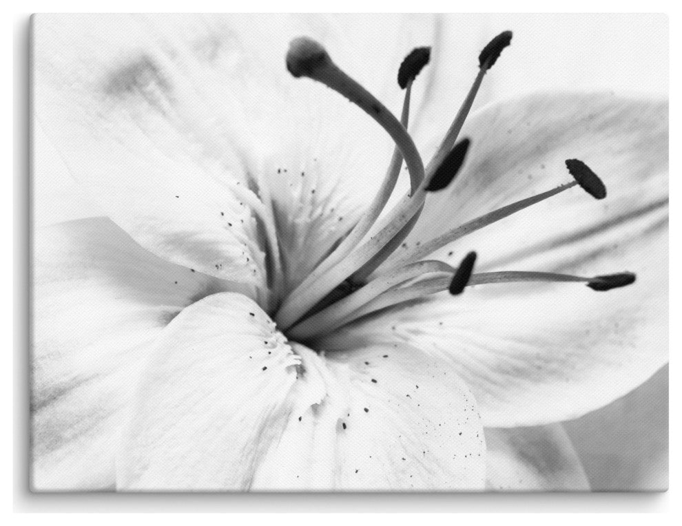 Grey Floral Canvas: High-key Lily Floral Nature Photo Wall Art Print, 12" X 16"