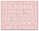 Pink Spring Sayings 14x11 Canvas Wall Art