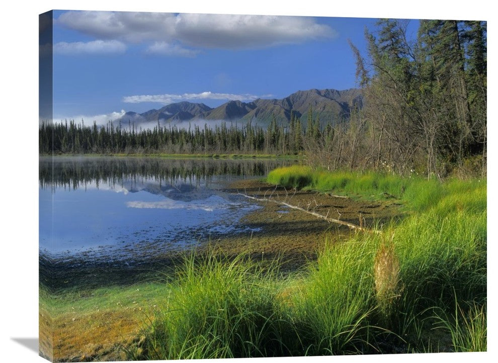 "Nutzotin Mountains And Boreal Forest Reflected, Alaska" Artwork