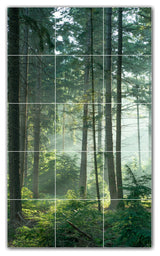 Trees Ceramic Tile Wall Mural HZ501009-35M. 18" x 30"
