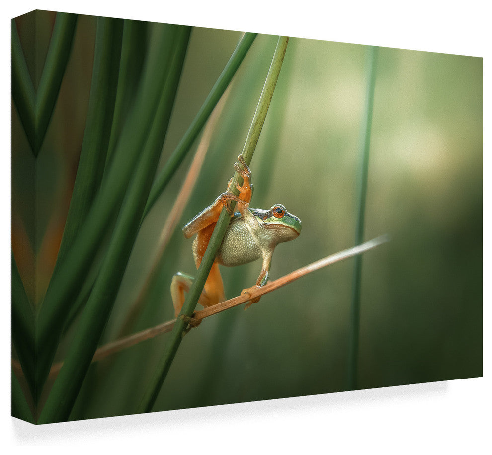 Florentin Vinogradof 'Wildlife Moment' Canvas Art, 47"x30"