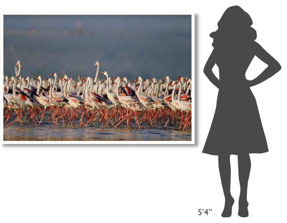 "Flamingo flock, courtship dance, Lake Nakuru" Paper Art, 62"x42"