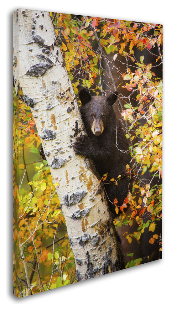 Lantern Press 'Animal 38' Canvas Art, 16" x 24"