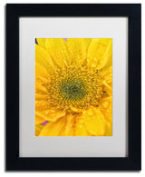 PIPA Fine Art 'Joyful Color' Matted Framed Art, 14x11