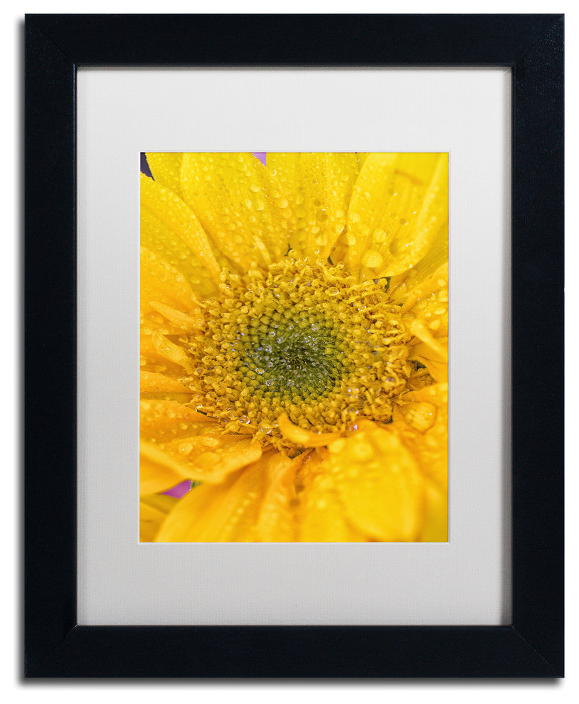 PIPA Fine Art 'Joyful Color' Matted Framed Art, 14x11