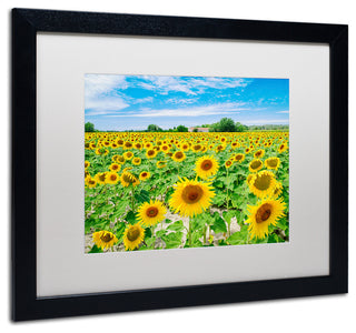Blanchette Photography 'Field of Yellow', Black Frame, White Matte, 20"x16"