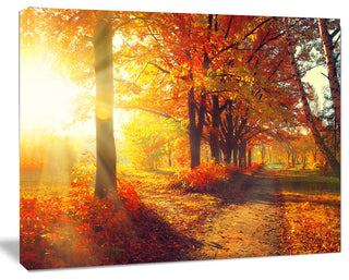 Autumnal Trees in Sunrays, Large Landscape Canvas Art Print, 20"x12"