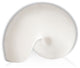 Nautilus Downlight Wall Sconce