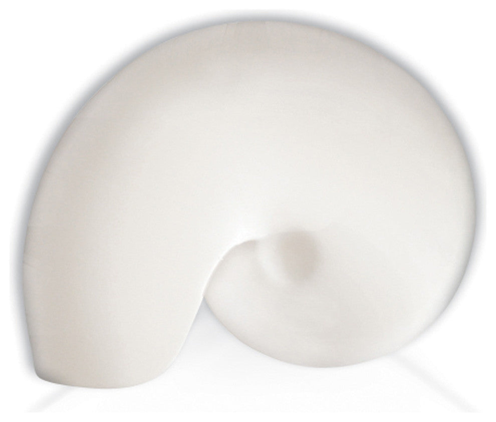 Nautilus Downlight Wall Sconce