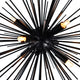 Savannah 6 Light Chandelier With Black Finish