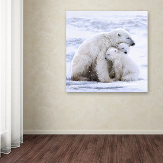 The Macneil Studio 'Polar Bear Cubs' Canvas Art, 24" x 24"
