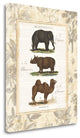"African Animals II" By Wild Apple Portfolio, Giclee on Gallery Wrap Canvas