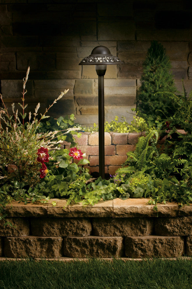 Textured Architectural Bronze Path and Spread 1--Light 12V