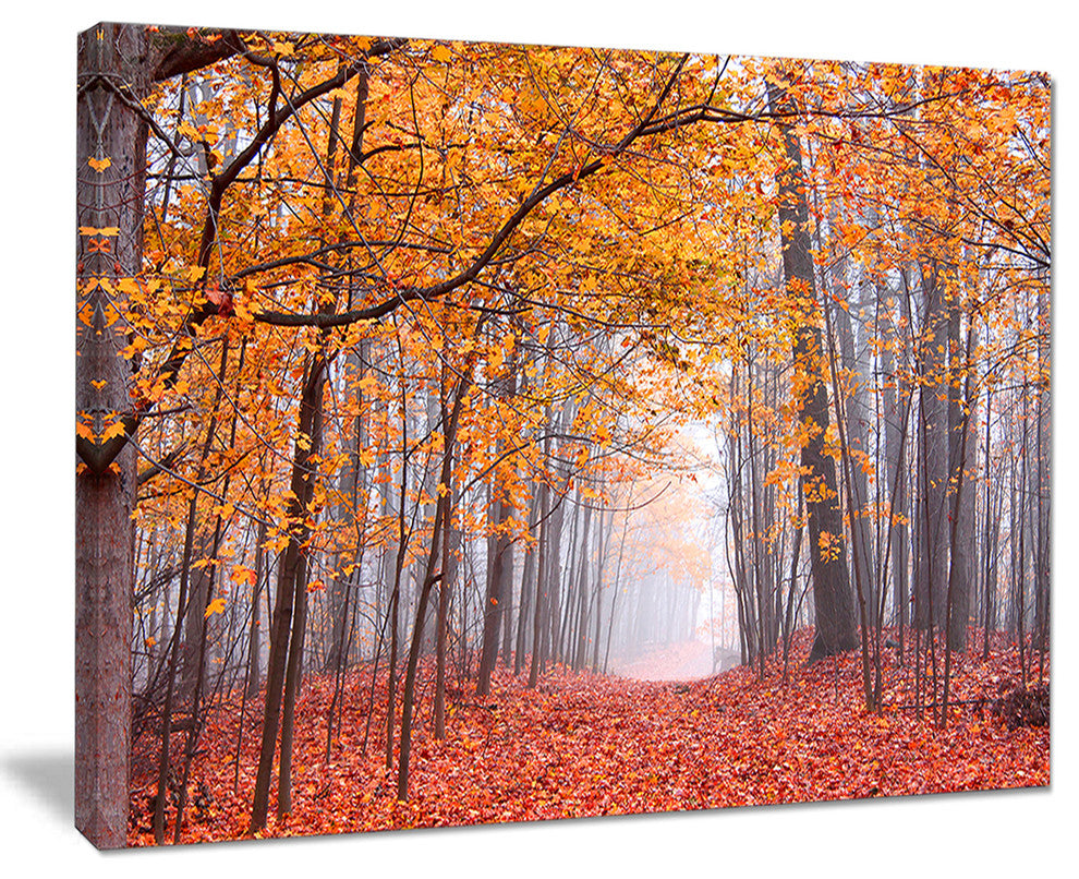 "Beautiful Trees With Fallen Leaves" Landscape Canvas Photo Print, 20"x12"