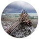 Fallen Tree In Storm At Seashore, Seashore Disc Metal Wall Art, 11"