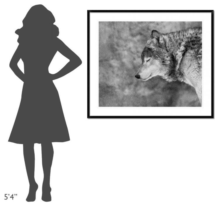 "Let It Snow" Framed Digital Print by Victoria Ivanova, 44x37"
