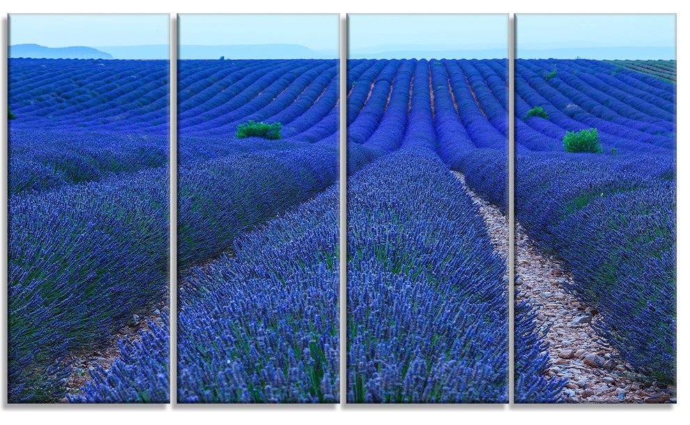 Lavender Field Sunset Near Valensole, Floral Canvas Art Print, 48"x28", 4 Panels