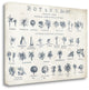 "Botany Tab VIII Indigo And White" By Wild Apple Portfolio, Gallery Wrap Canvas