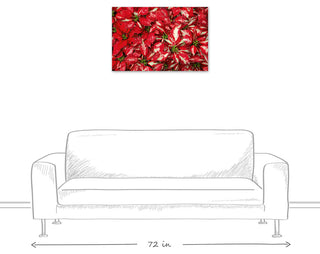 Pointsettia Blooms 3 20x30 Canvas Wall Art