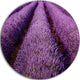 Endless Rows Of Lavender Field, Landscape Disc Metal Artwork, 23"