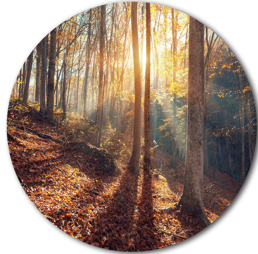 Crimean Mountains Autumn, Landscape Photo Disc Metal Artwork, 11"