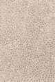 Loloi JUNEAU JY-02 ASH / TAUPE Rug