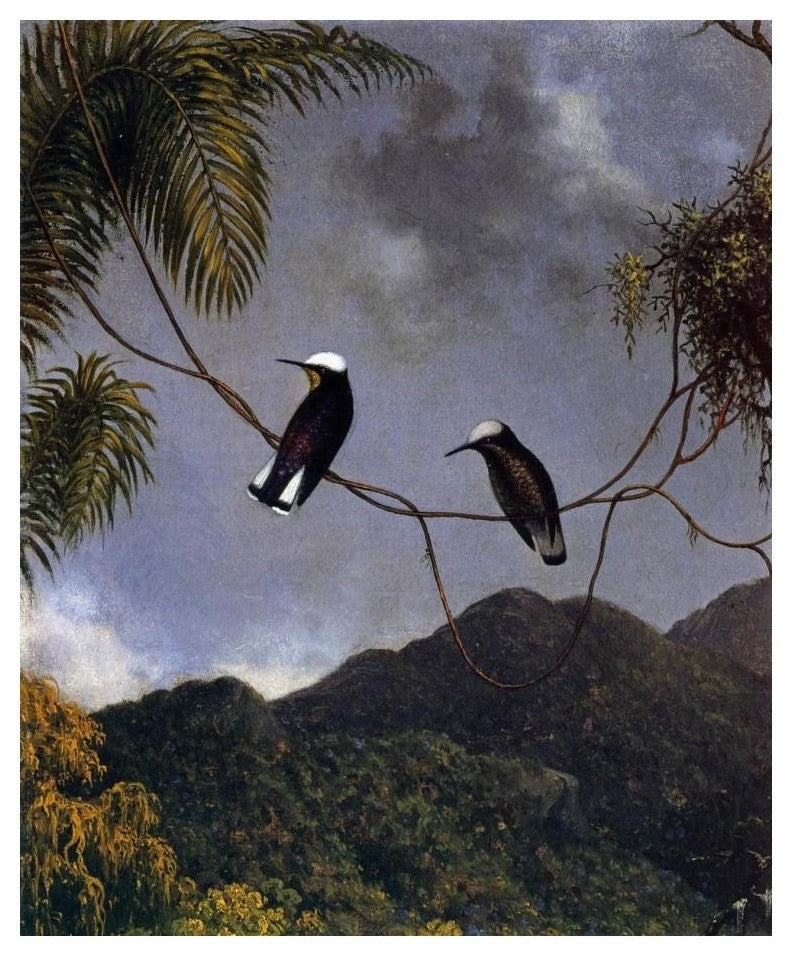 "Snowcap" Digital Paper Print by Martin Johnson Heade, 20"x24"