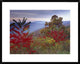Staghorn Sumac In Autumn, Blue Ridge Mountain Range, Virginia, 30"x24"