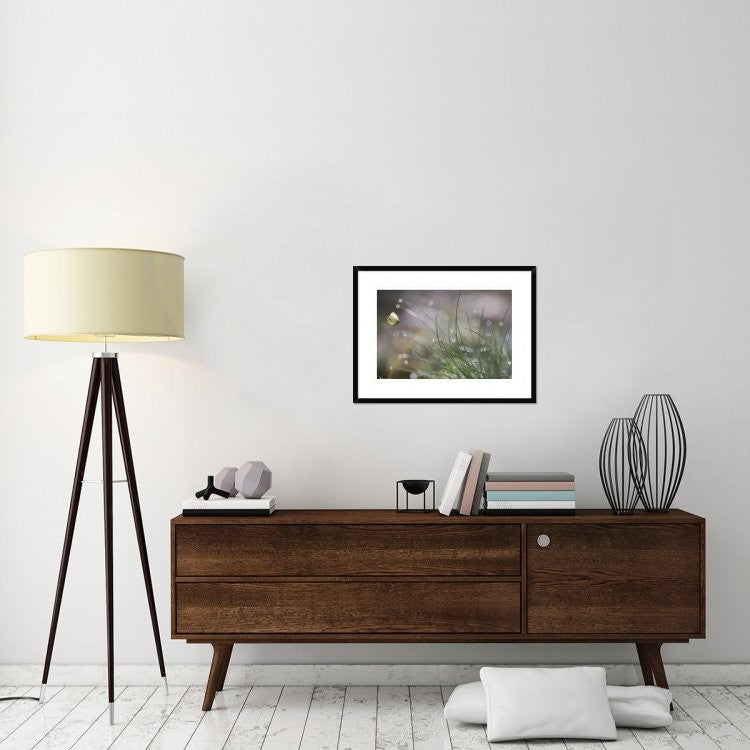 "Imminent Landing" Framed Digital Print by Anna Cseresnjes, 30x22"