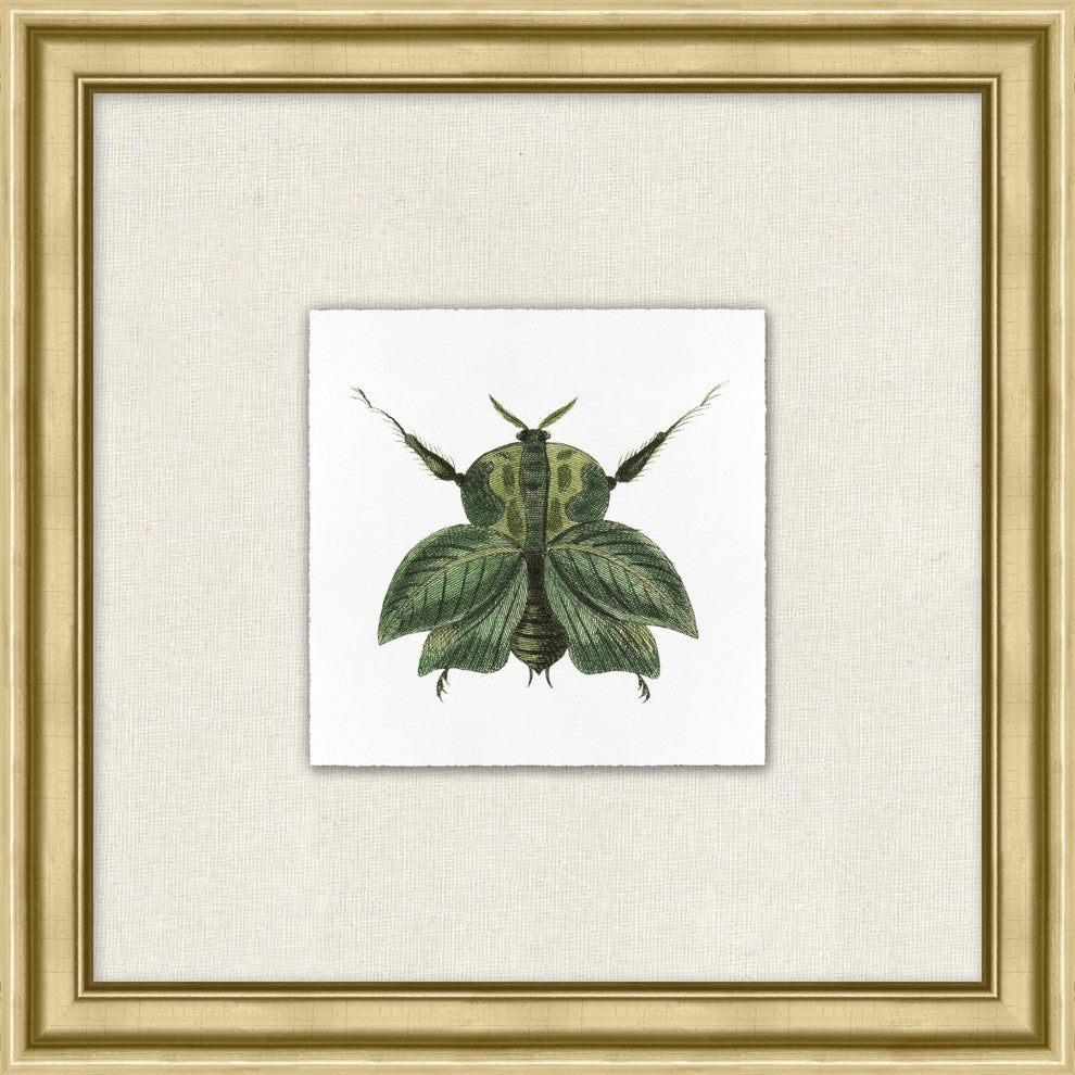 Flying Specimen 8, Giclee Reproduction Artwork