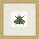 Flying Specimen 8, Giclee Reproduction Artwork