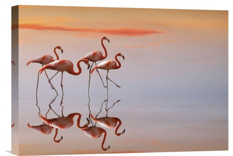 "Untitled" Stretched Canvas Giclee by Anna Cseresnjes, 16"x11"