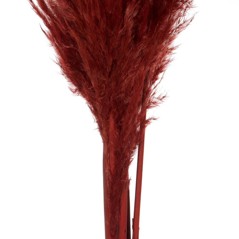 Vickerman 46" Dried Pampas Grass, Bordeaux